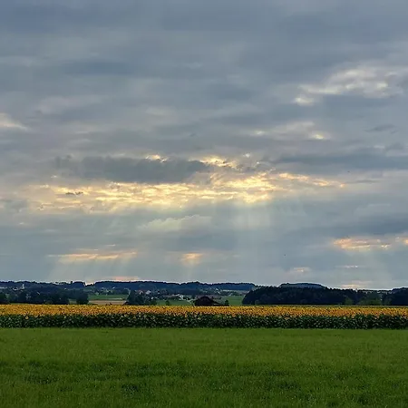 Zellbachblick - 380qm דירה *